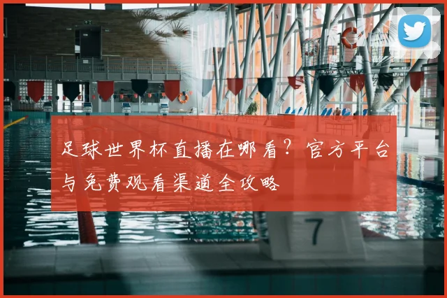 足球世界杯直播在哪看？官方平台与免费观看渠道全攻略