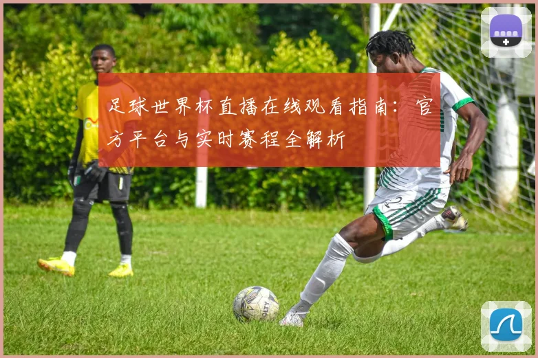 足球世界杯直播在线观看指南：官方平台与实时赛程全解析